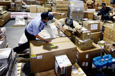 各國海淘轉(zhuǎn)運公司的基本情況